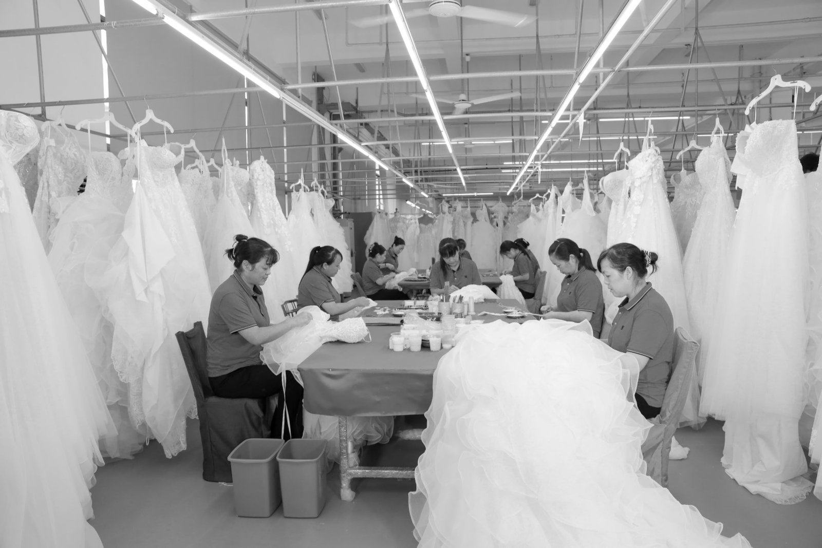 Production Lines