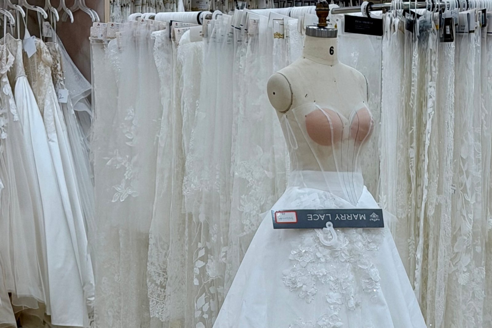 cat-eye neckline evolution wedding dress 2027